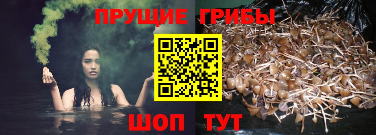Псилоцибиновые грибы MAGIC MUSHROOMS Алапаевск